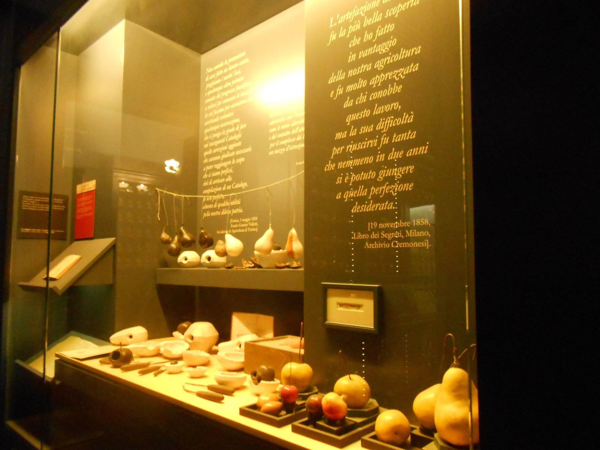 Museo Della Frutta
