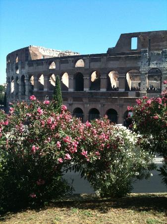 Transfers Rome Day Tours