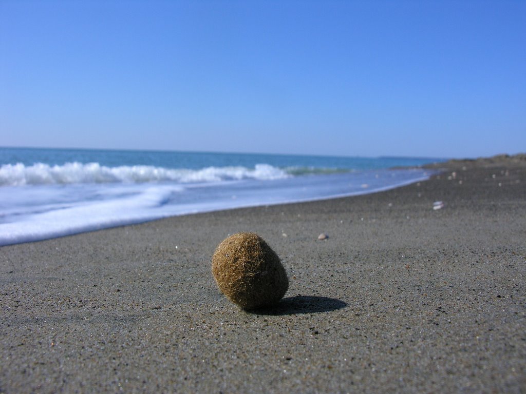 Spiaggia di Capo Portiere