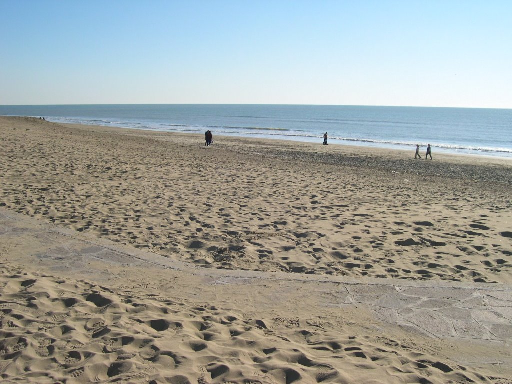 Spiaggia di Torvaianica