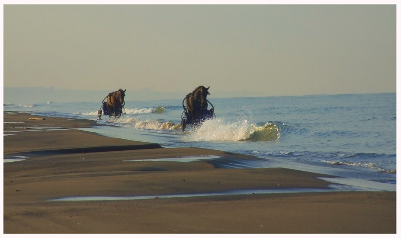 Marina di Tor San Lorenzo
