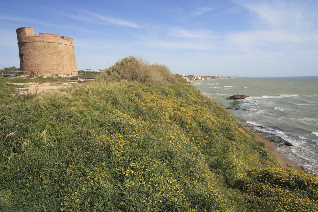 Spiaggia di Tor Caldara