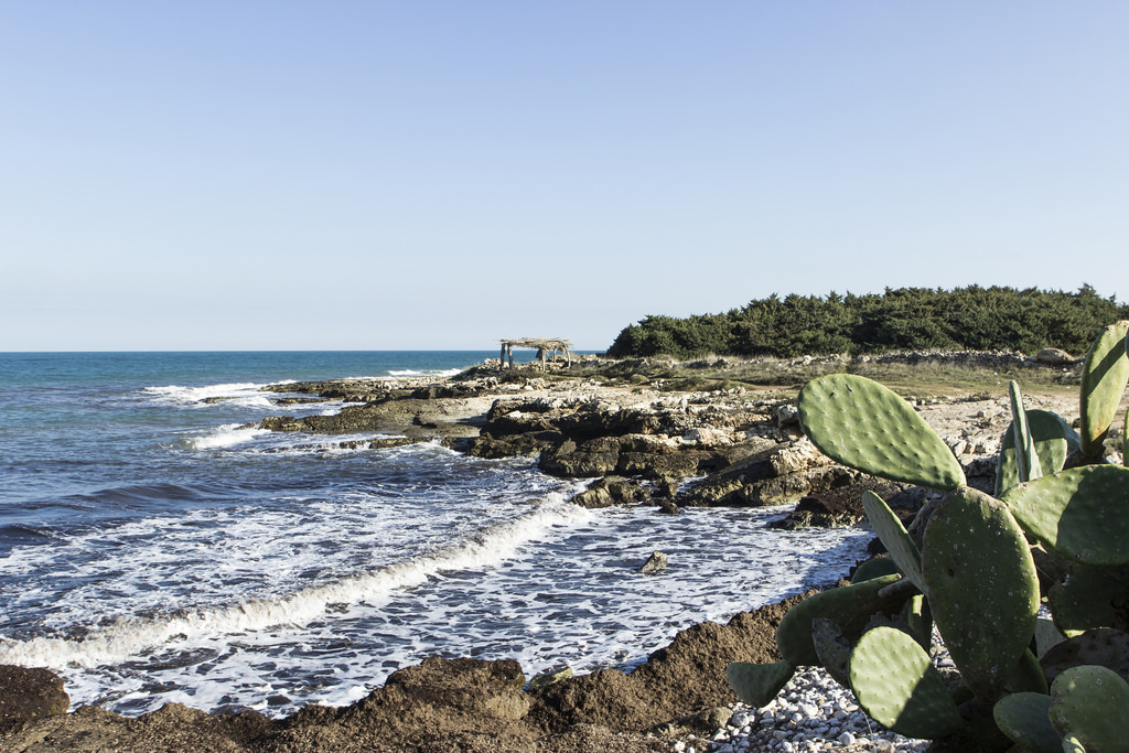 Spiaggia di Cala Ripagnola