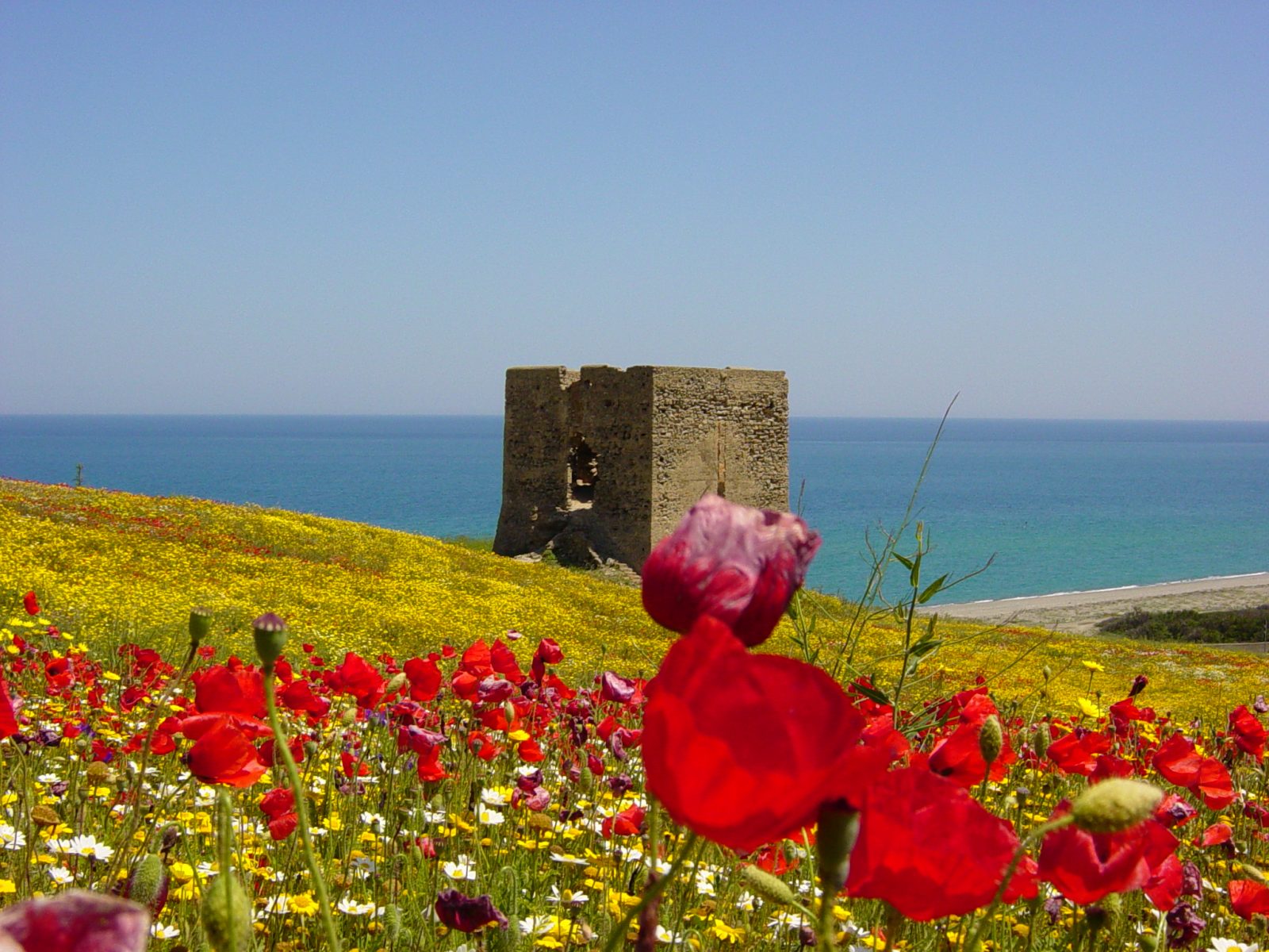 Spiaggia di Madonna di Mare
