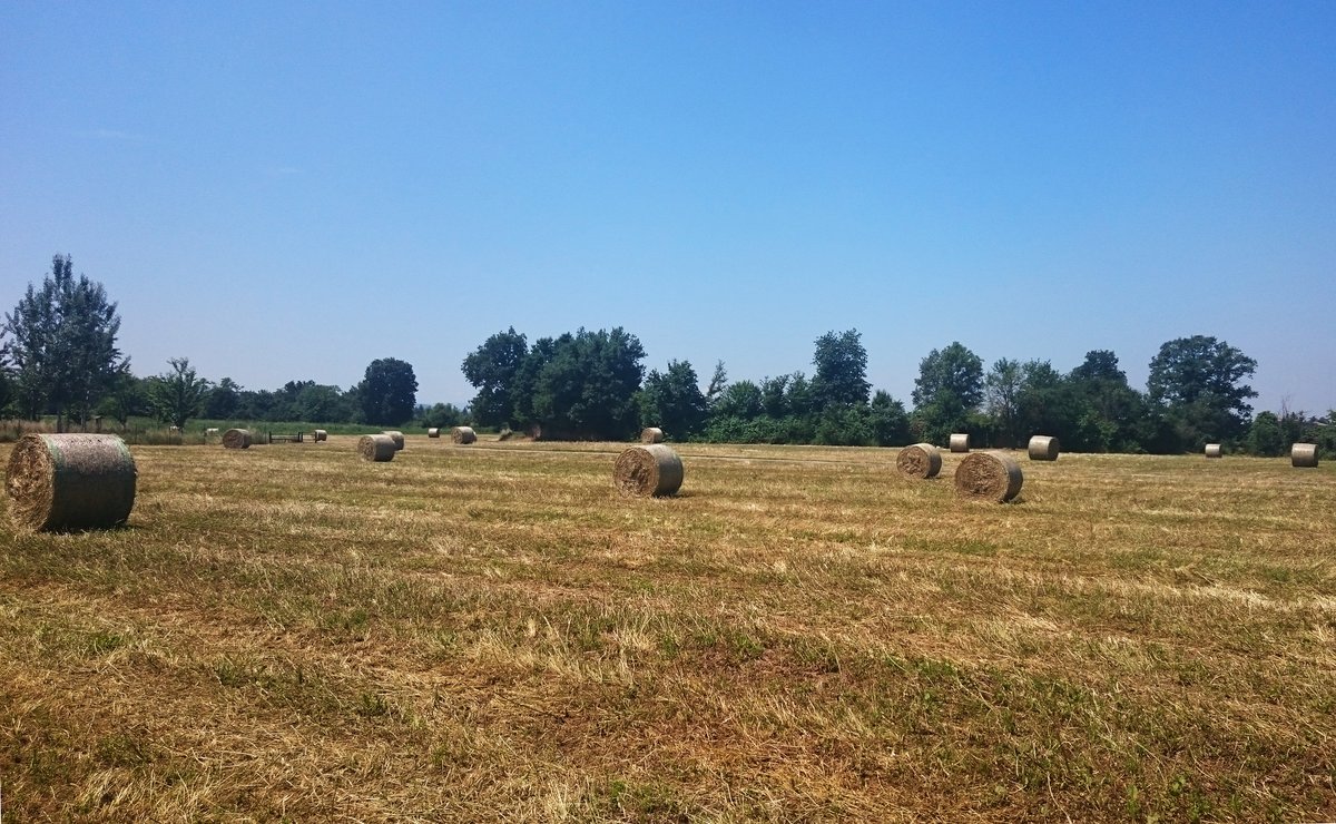 parco del Crostolo