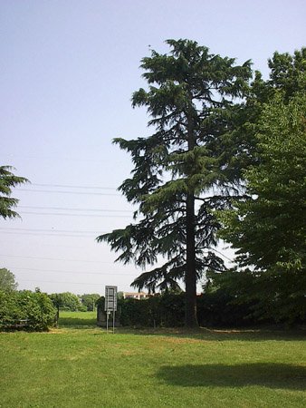 parco di Villa Brivio - Brugherio