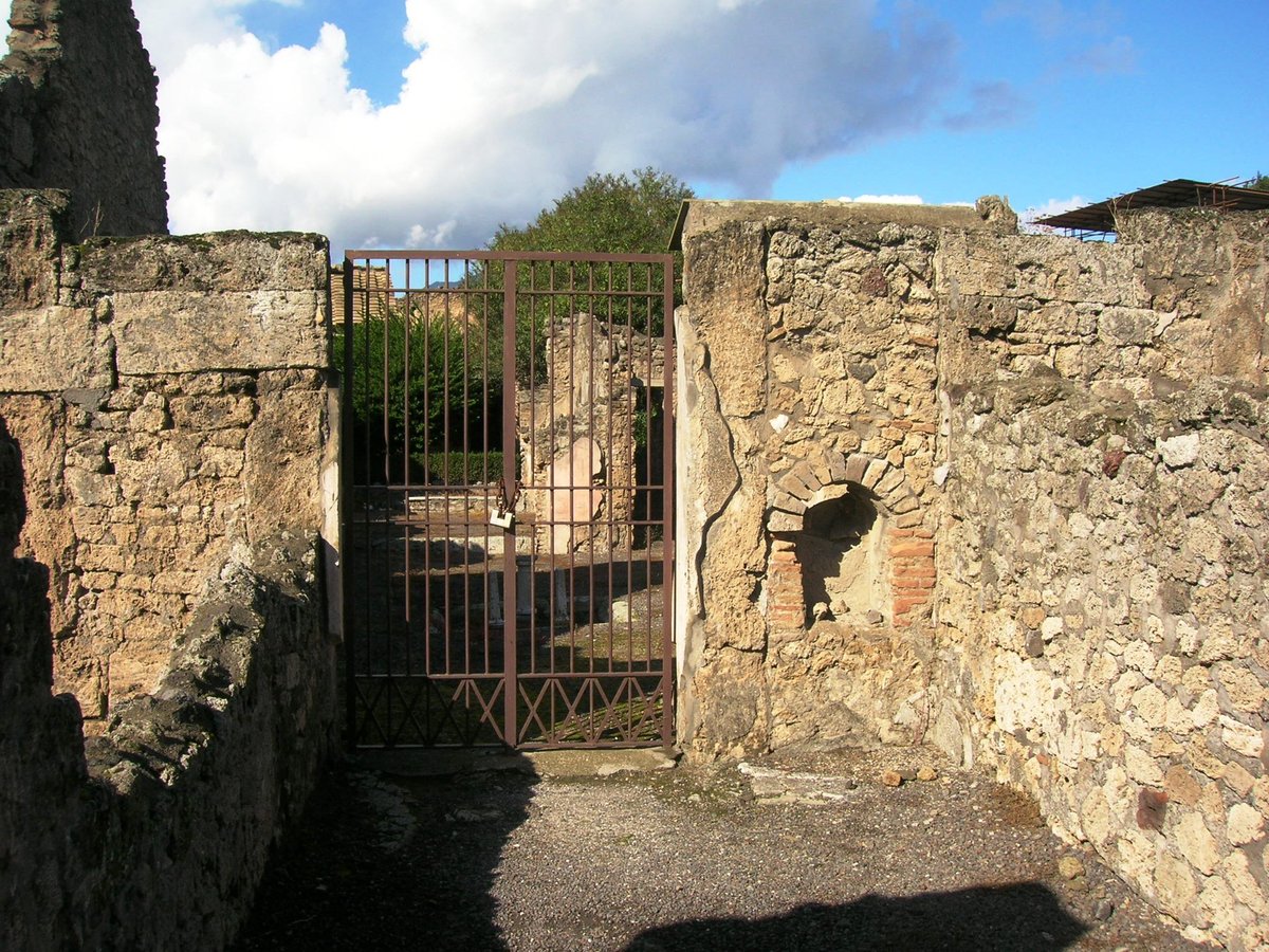casa di Bacco (V.2.4)