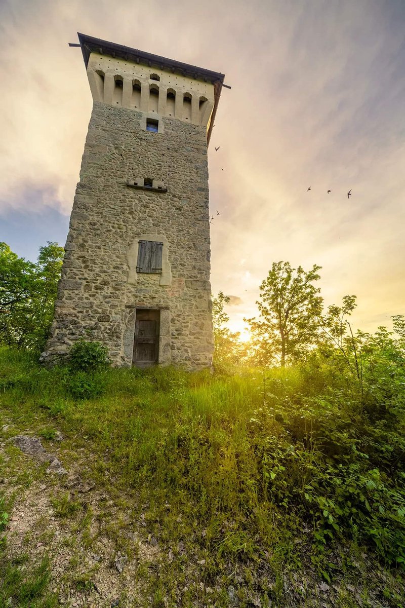 Torre del Castellaro - Guiglia