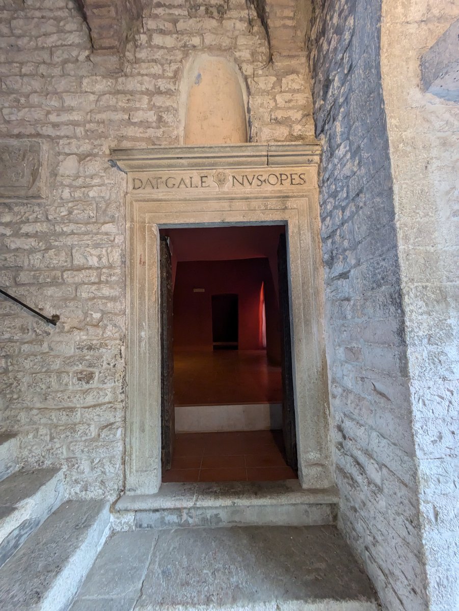 Raccolta Perottiana