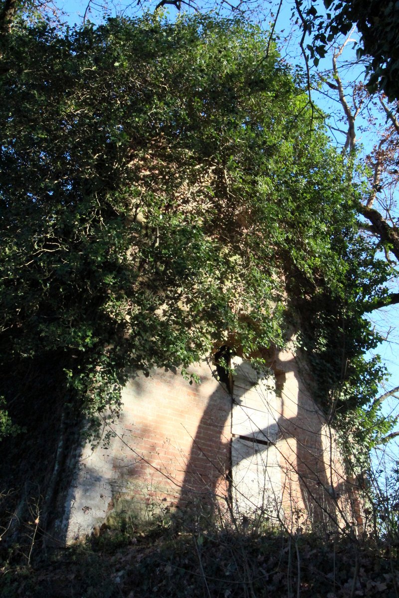 chiesa di Sant'Agostino alla Sorra - Monteroni d'Arbia