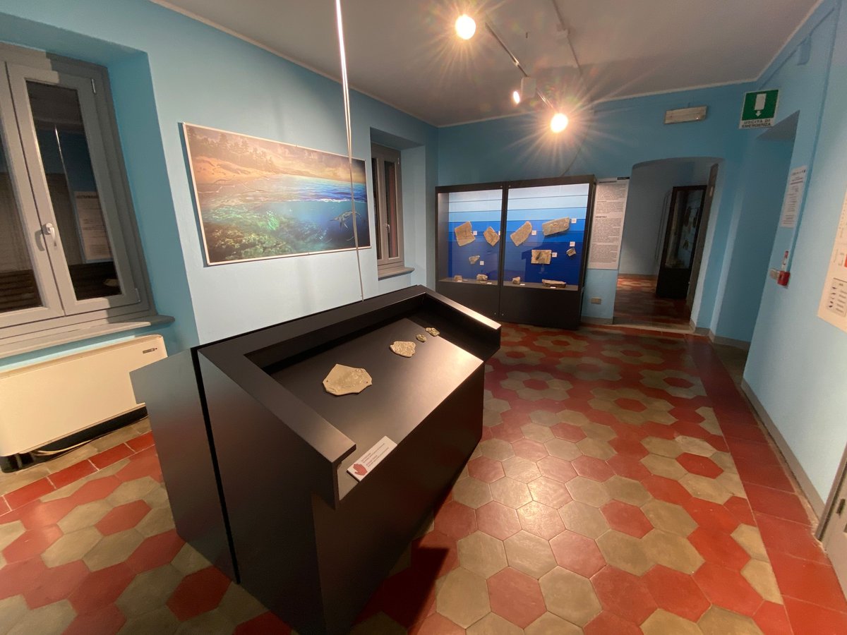 Museo civico dei fossili di Besano - Besano