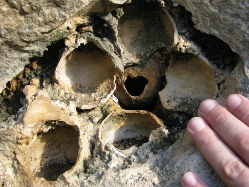 Geosito Travertino della Cava Cappuccini - Alcamo