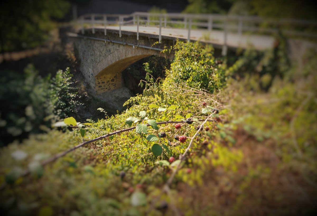 Secondo ponte romano della Val Quazzola - Quiliano