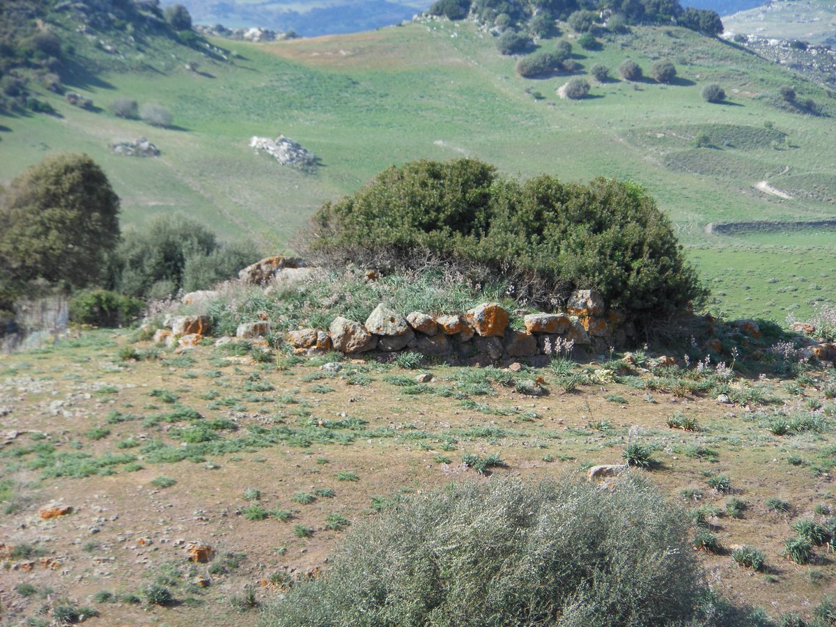 nuraghe Badde Cheja - Chiaramonti