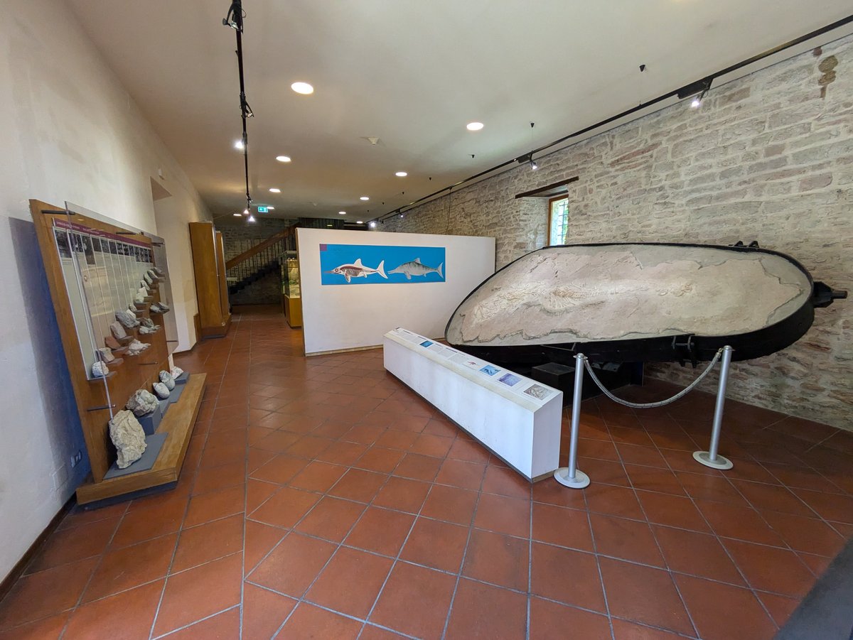 Museo speleo paleontologico e archeologico di Genga - Genga