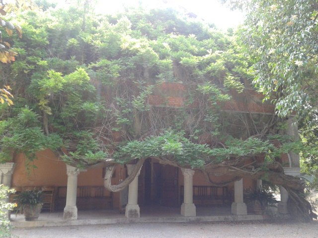 Museo Bicknell - Bordighera