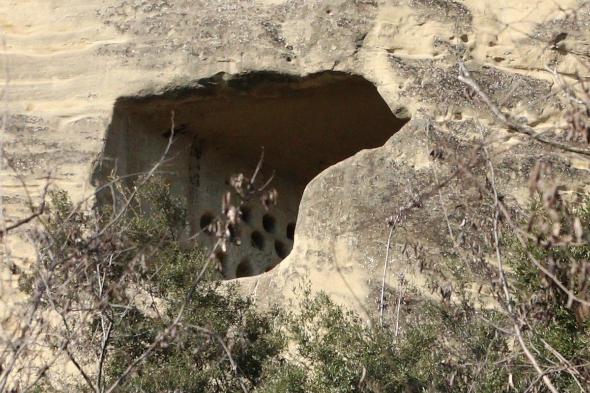 Colombario di monte Frate