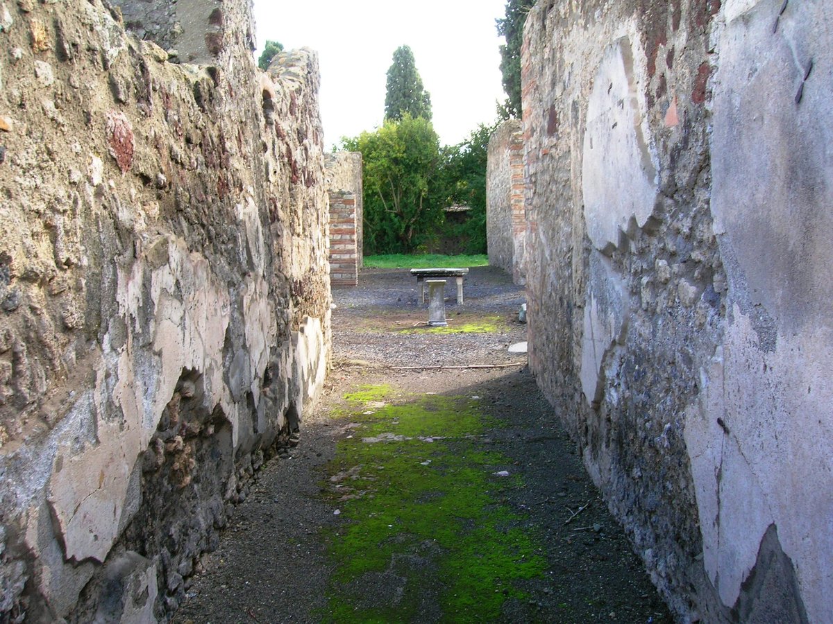 casa di T. Mescini Gelonis (VIII.4.9)