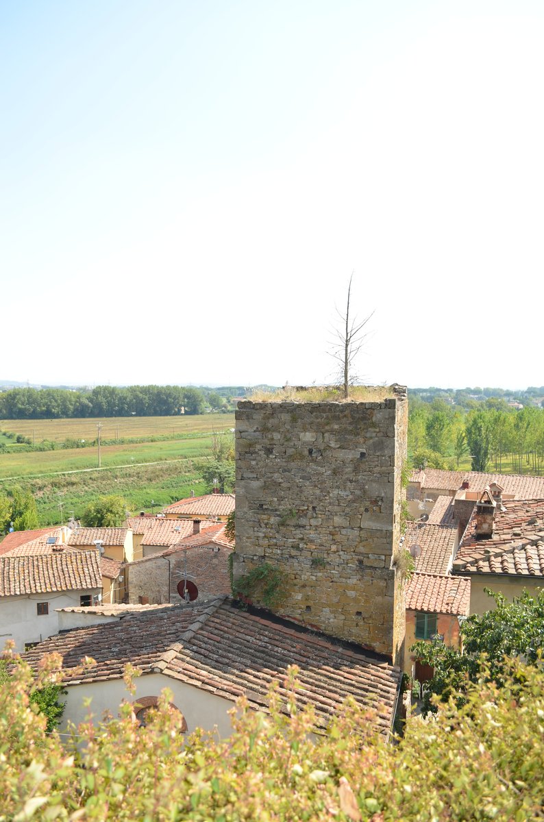 Torre dei Boncetani - Vicopisano