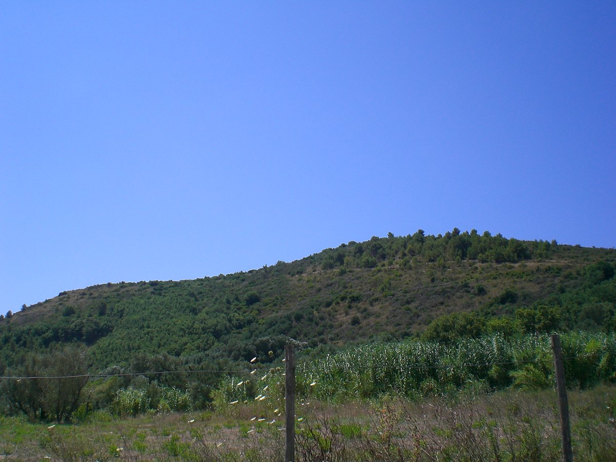 Molpa - 1