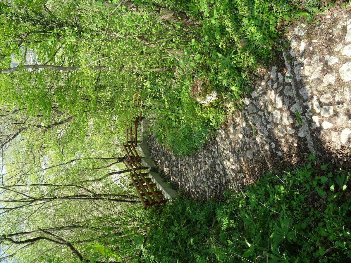 sentiero delle Vacchette