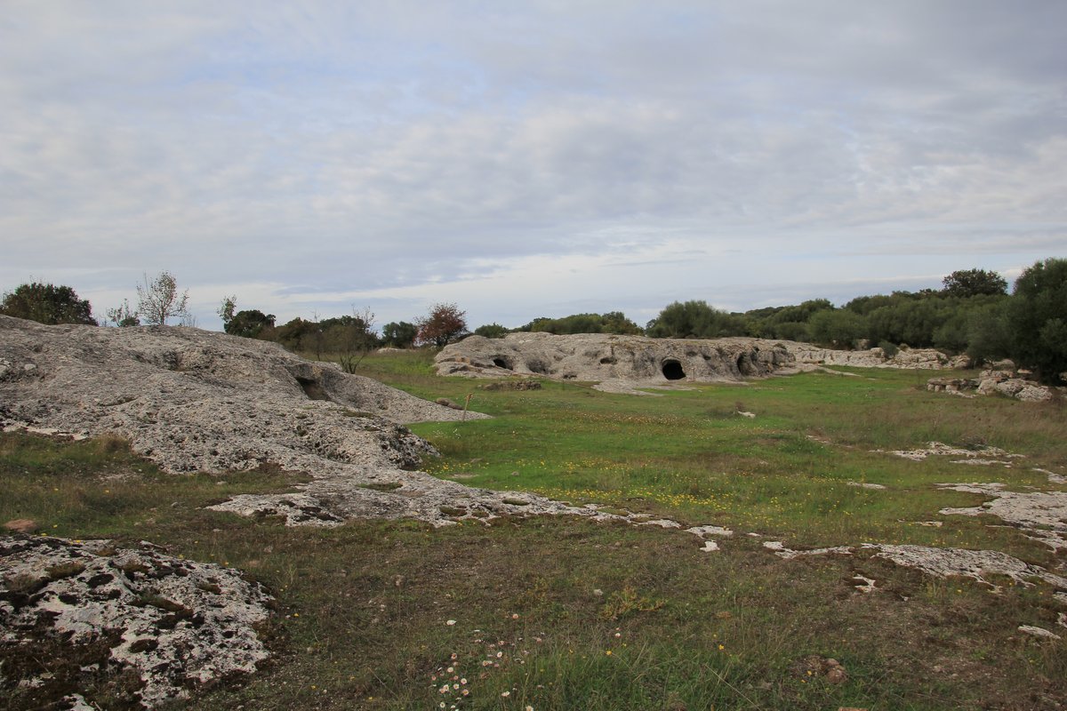 necropoli a domus de janas di Puttu Codinu - Villanova Monteleone