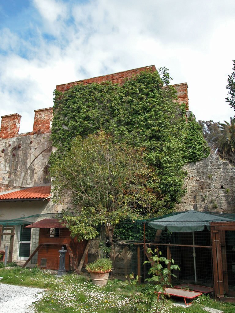 Torre di San Martino in Guatolongo
