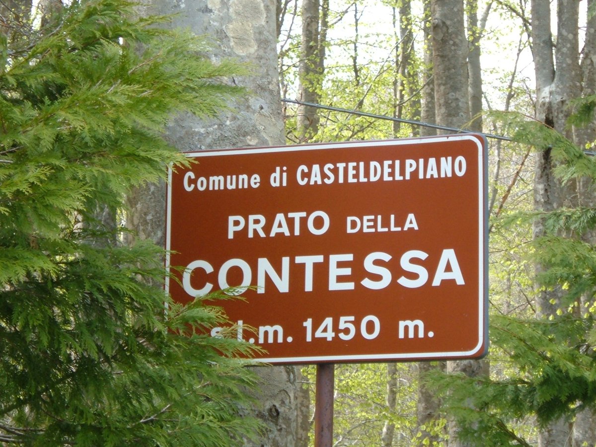 Prato della Contessa - Castel del Piano