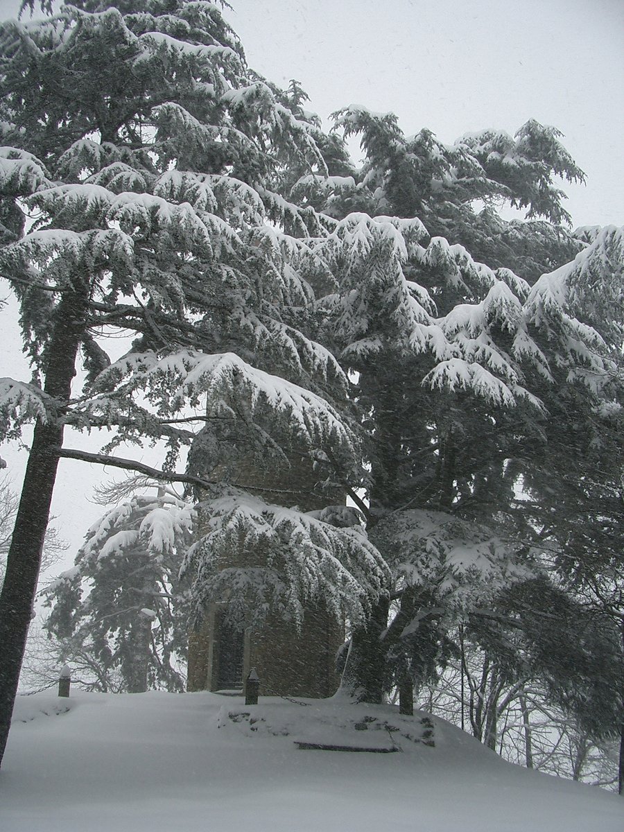 Salame di Felina - Castelnovo ne' Monti