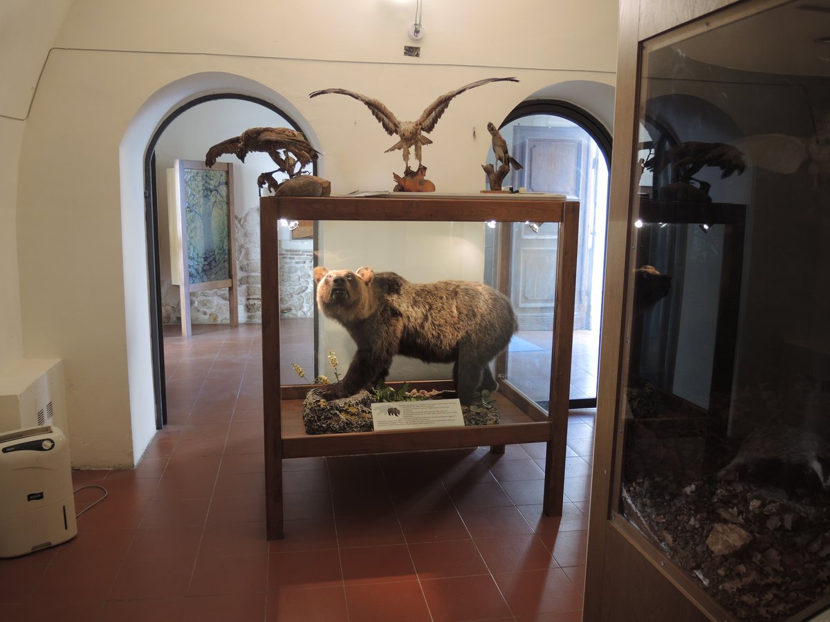 Museo dell'orso - Gagliano Aterno