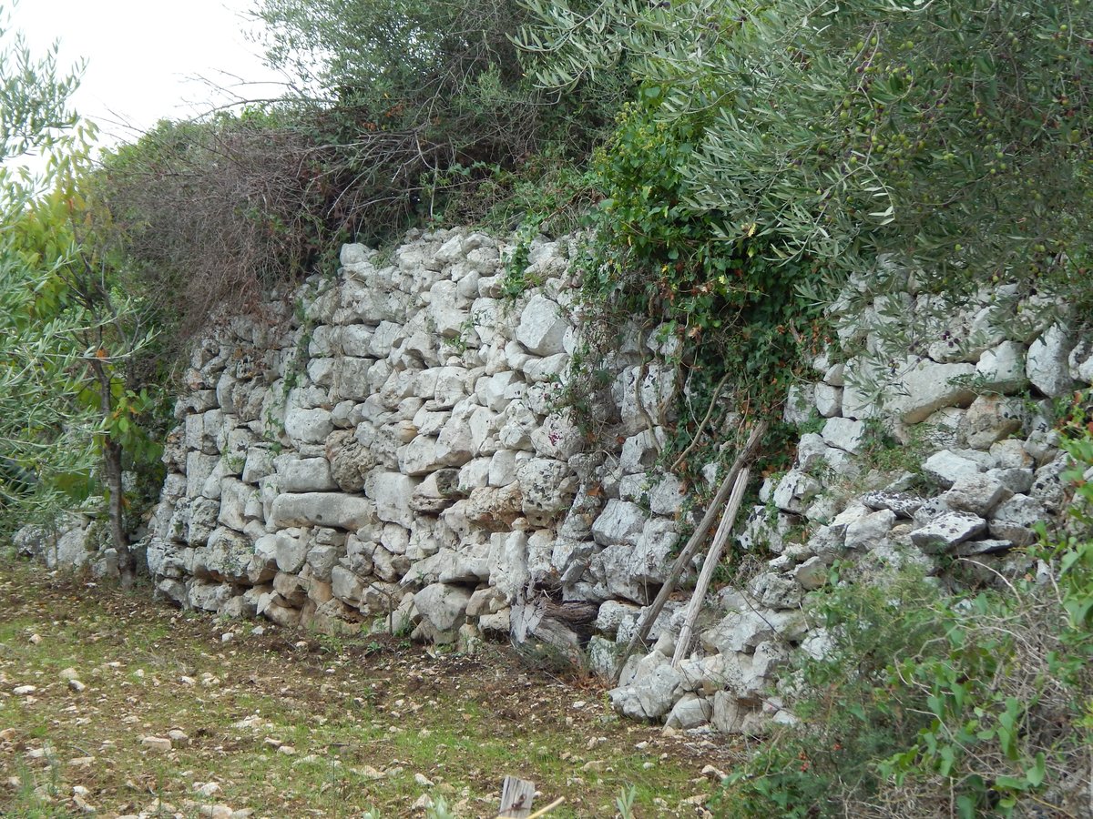 Azetium - Rutigliano