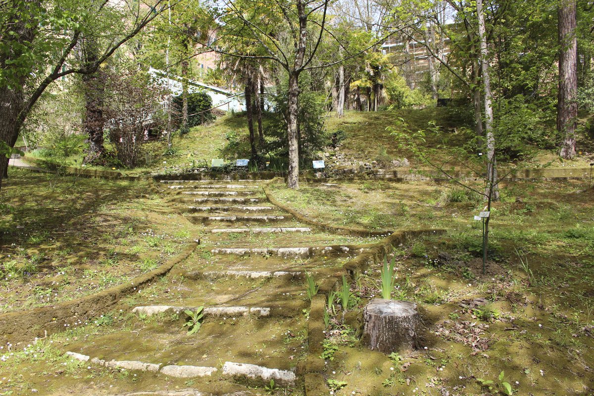 Orto botanico di Siena