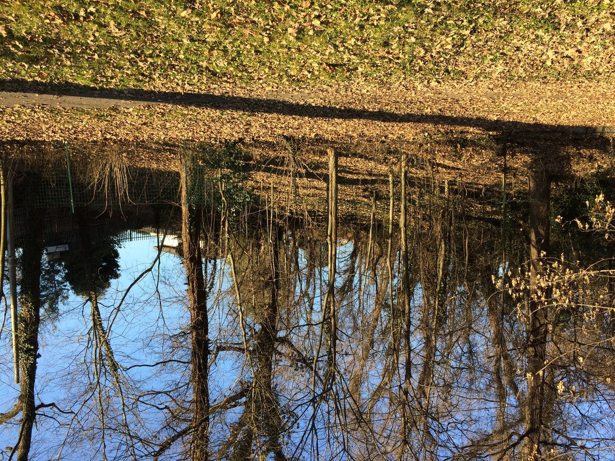 parco Bosco dei Ronchi - Legnano