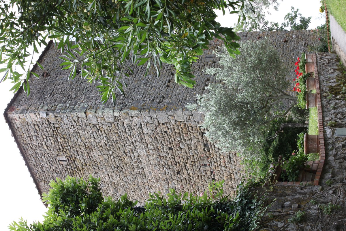 Torre di Sotto - Lamporecchio