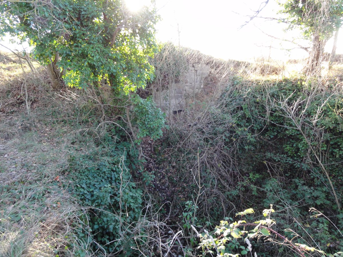 Castello Monte Mauro