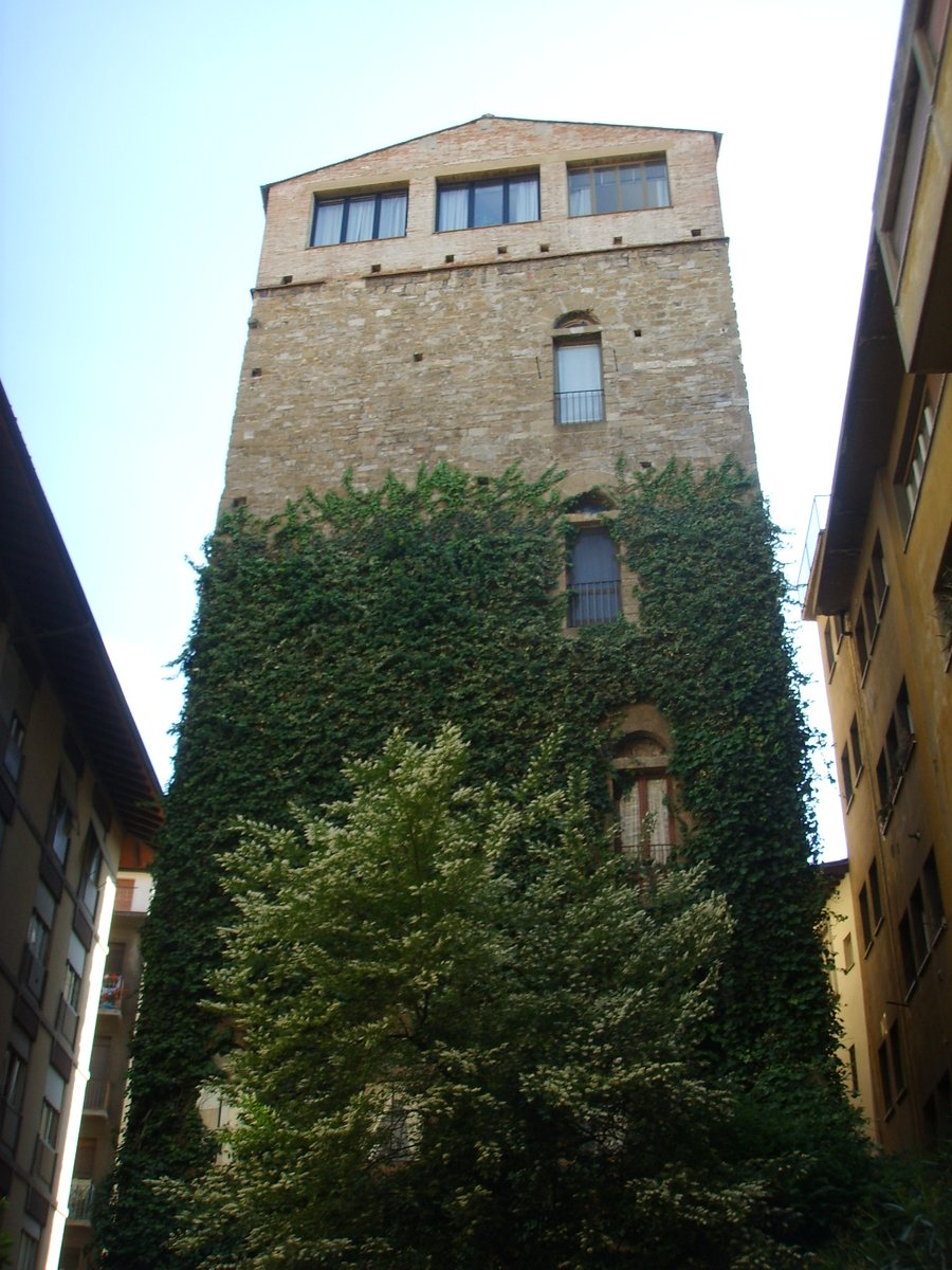 Torre dei Belfredelli