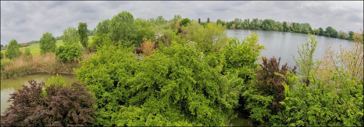 Area archeologica di San Lorenzo - Pegognaga