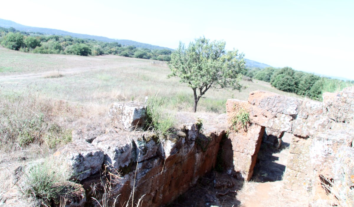 Necropoli di Caiolo - Barbarano Romano