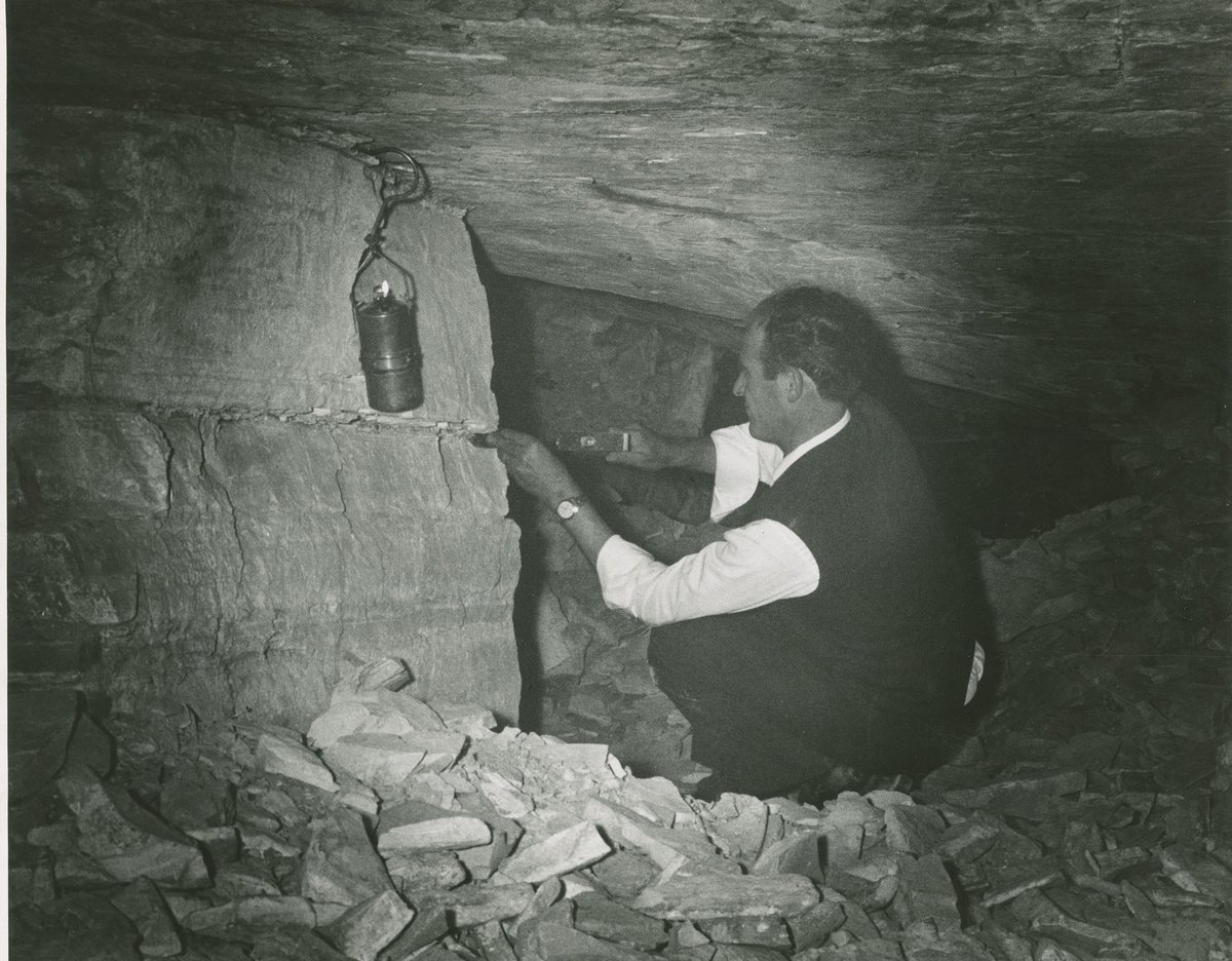 giacimenti fossiliferi di Bolca - Vestenanova