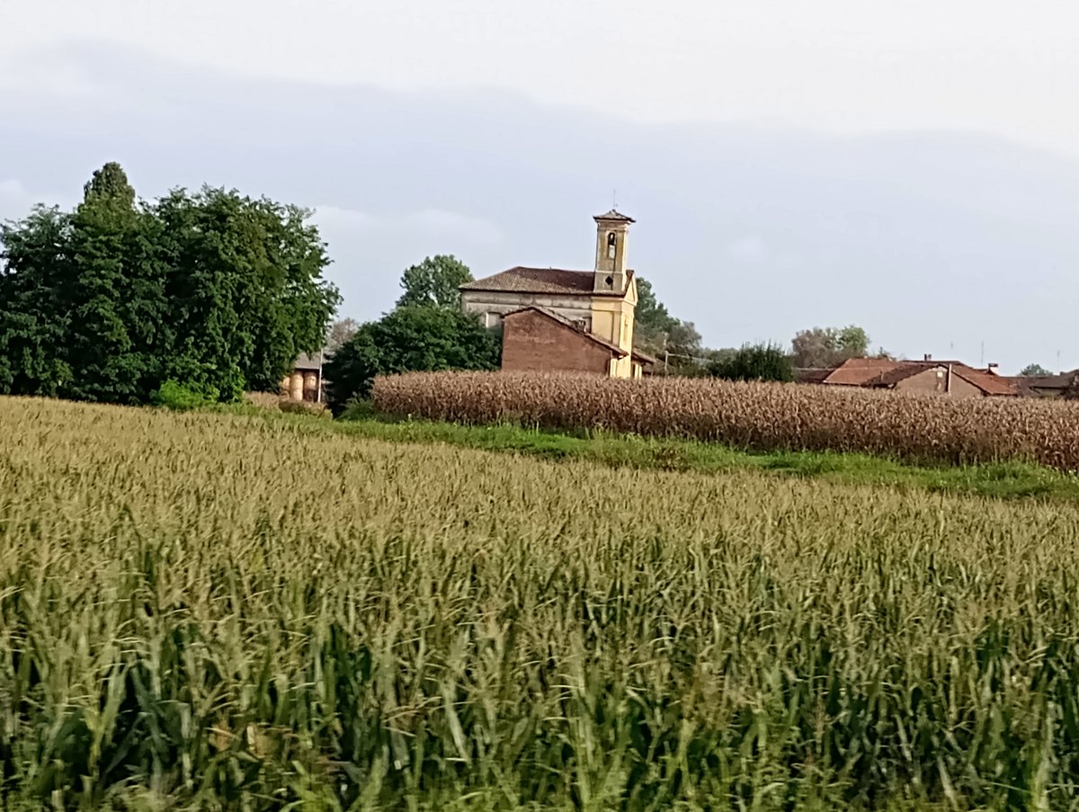 chiesa della Beata Vergine della Neve - Carignano