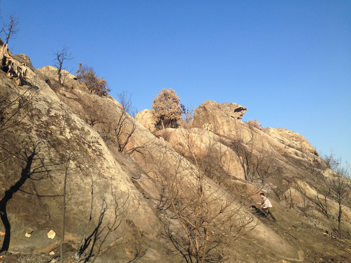 Rocca Pizzicata - Roccella Valdemone