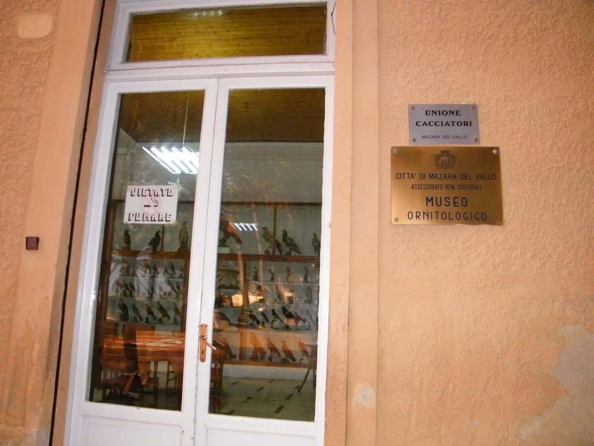 Museo ornitologico