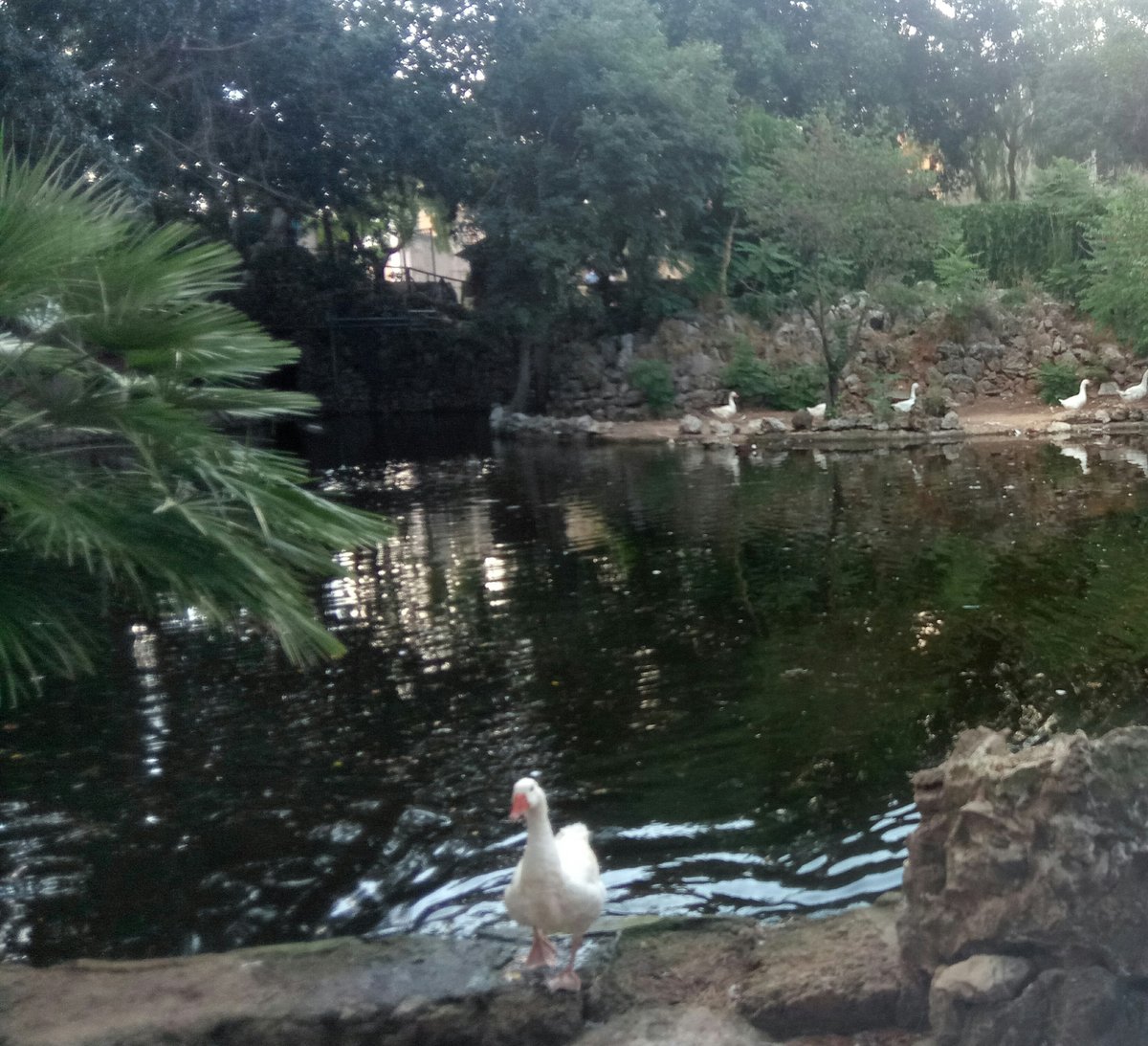 parco di Villa Niscemi