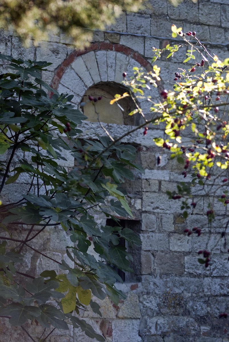 chiesa di San Miniato a Poppiano - San Casciano in Val di Pesa