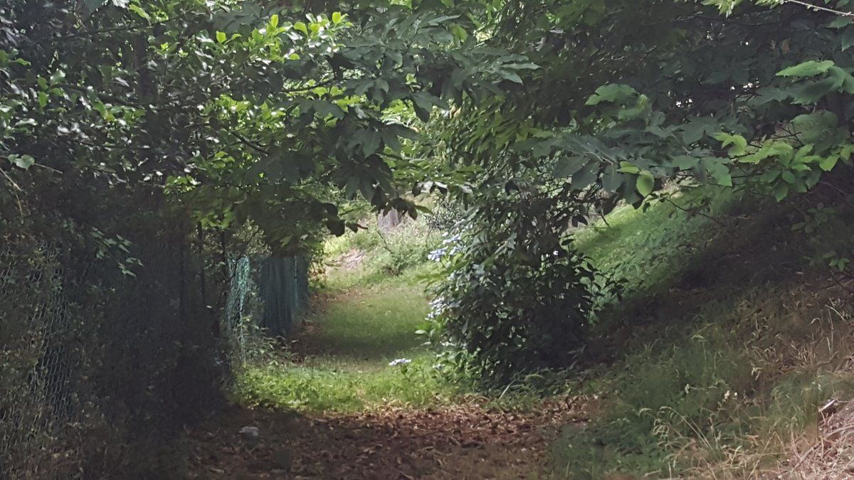 parco Marenghi - Brunate