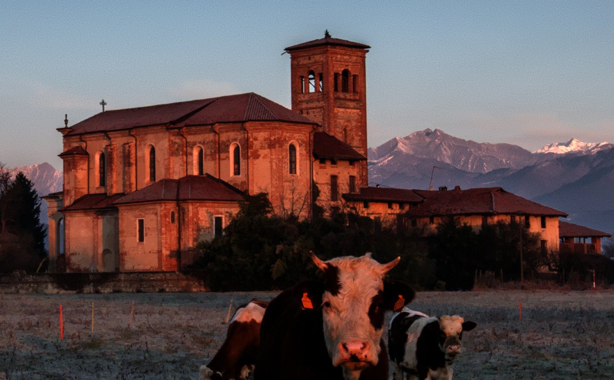 chiesa di San Vincenzo - Mottalciata