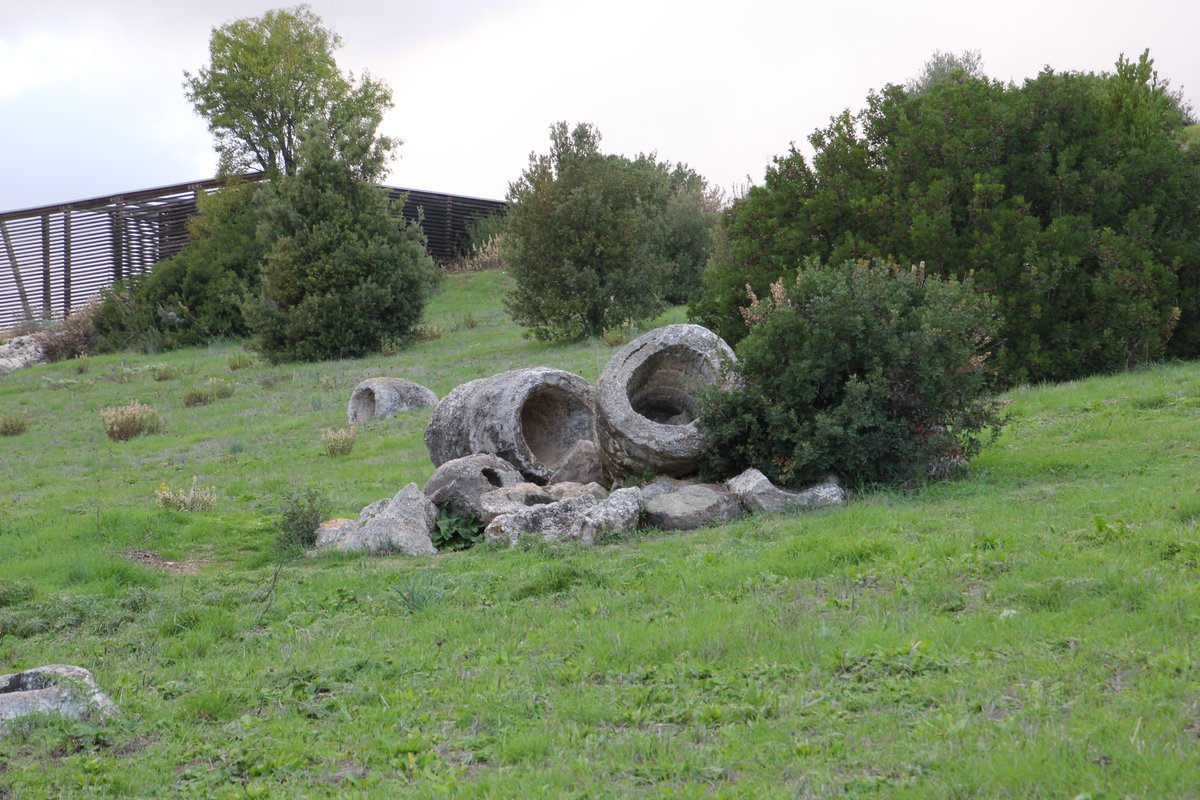 parco paleobotanico di Carrucana - Martis