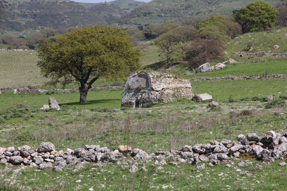 domus de janas Campu Lontanu - Florinas