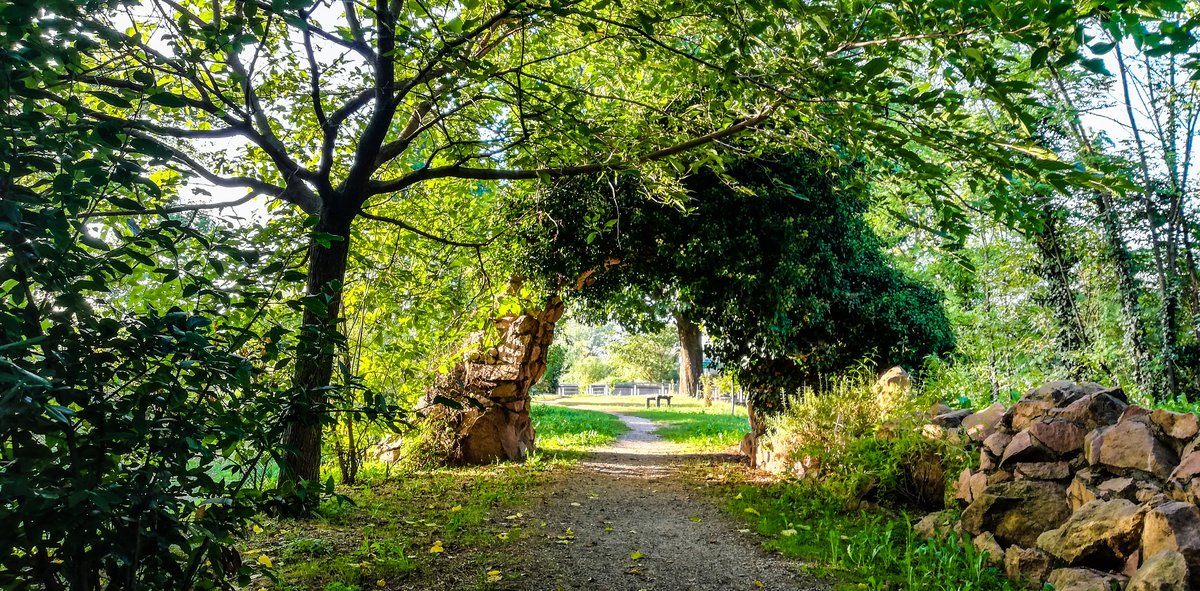 oasi di Pace e Bellezza - Parabiago