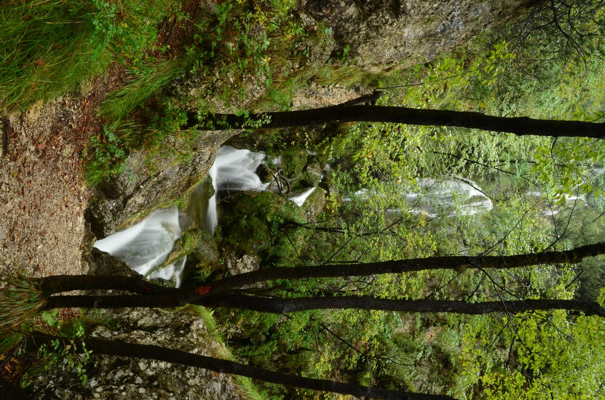 parco fluviale del torrente Centa - Caldonazzo